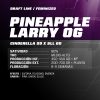 PINNEAPPLE-LARRY-OG-100x100-1.jpg